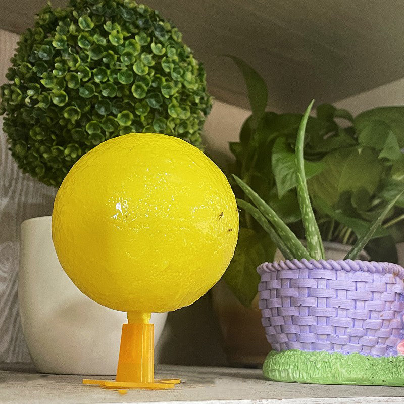 Bola adhesiva para atrapar moscas de la fruta con soporte y LED